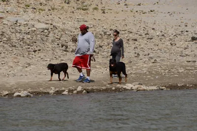 DSC_2991 (Large).JPG